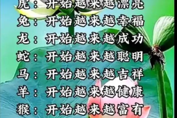 1998年生肖运势与命理解析:探秘你的命中注定 1998年生肖运势与命理解析:探秘你的命中注定