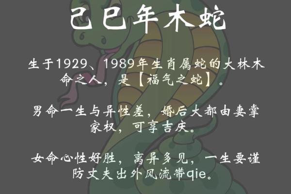 1998年生肖运势与命理解析:探秘你的命中注定 1998年生肖运势与命理解析:探秘你的命中注定