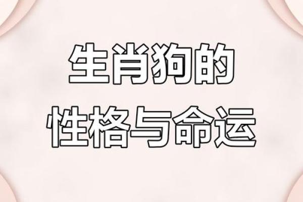 属狗之人秋天出生命理解析:富贵与智慧的双重礼赞 属狗之人秋天出生命理解析:富贵与智慧的双重礼赞