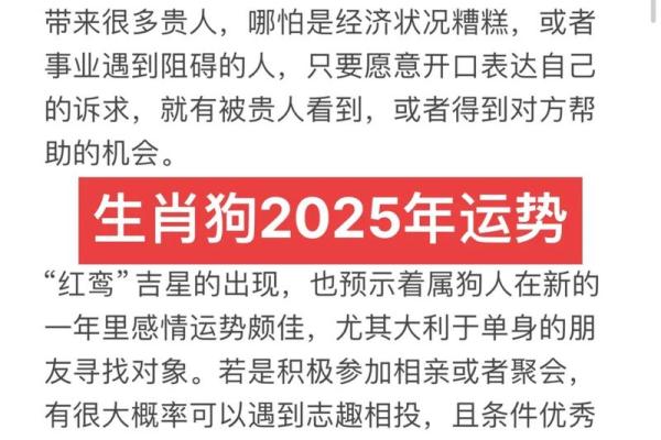 2019年狗年运势解析:探索不同生肖狗的命理奥秘与人生启示 2019年狗年运势解析:探索不同生肖狗的命理奥秘与人生启示