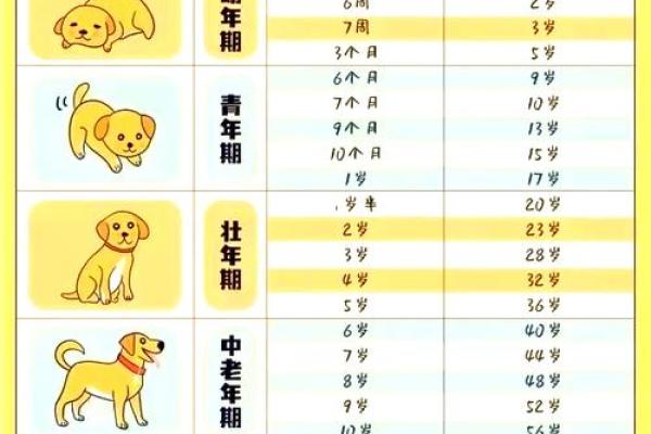2006年狗年出生的孩子:哪些月份最为吉利? 2006年狗年出生的孩子:哪些月份最为吉利?