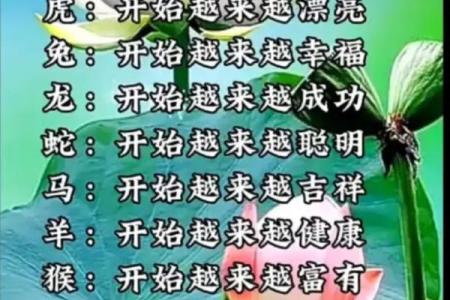 1998年生肖运势与命理解析：探秘你的命中注定