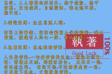 1985年出生的命运与人生的启示：探索命理与人生的奥秘