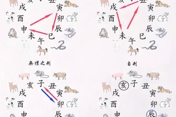 揭开十二生肖的命运之谜:每个属相的独特人生之旅 揭开十二生肖的命运之谜:每个属相的独特人生之旅