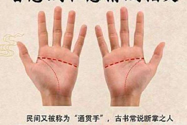 探秘断掌女人的命运:她们拥有怎样的人生轨迹? 探秘断掌女人的命运:她们拥有怎样的人生轨迹?