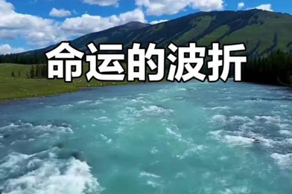 命的一生:从命运到命名的奇妙探究之旅 命的一生:从命运到命名的奇妙探究之旅