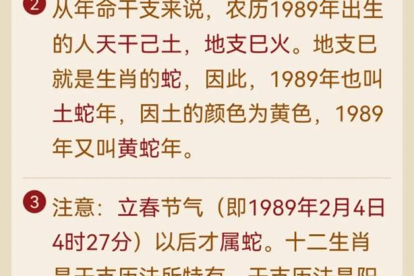 土龙命适合从事的行业与职业规划分析 土龙命适合从事的行业与职业规划分析
