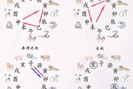 揭开十二生肖的命运之谜：每个属相的独特人生之旅