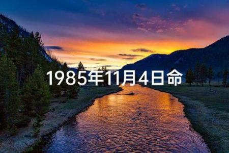 1985年出生的人命运解析：探索个性与未来的交汇点