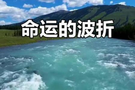 命的一生：从命运到命名的奇妙探究之旅