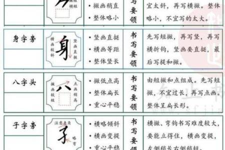 探索汉字的魅力：部首与词汇的神奇关联