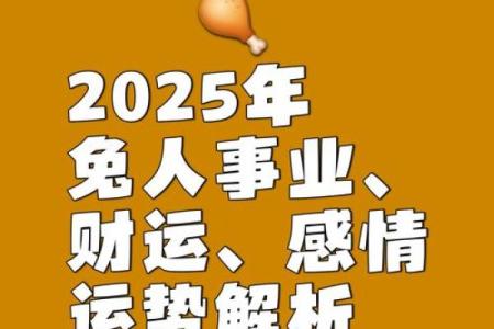 2023年生肖运势解析：2023年属兔的人，如何把握机会与挑战？