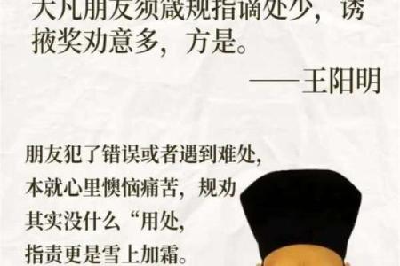 根据什么活什么命，探讨成语背后的智慧与人生哲学