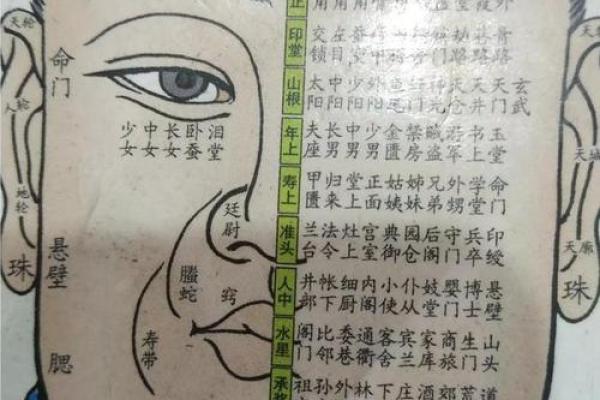 揭秘老板命:从面相看成功的人生轨迹 揭秘老板命:从面相看成功的人生轨迹