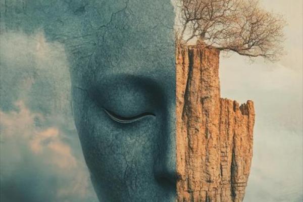 黑夜中的半生命运:黑暗中的希望与探索 黑夜中的半生命运:黑暗中的希望与探索