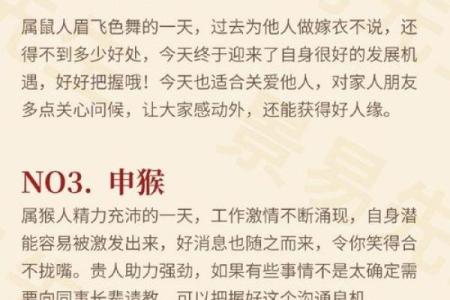 腊月21出生属鸡之人，命运与性格揭示的奥秘