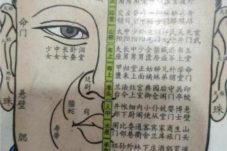 揭秘老板命：从面相看成功的人生轨迹