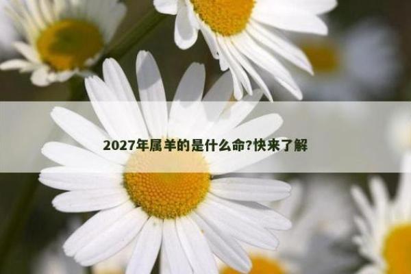 2027年属什么？揭秘这一年的命运与未来发展！