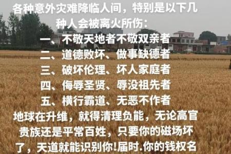 2024年：火命年与生活运势的深刻影响与展望