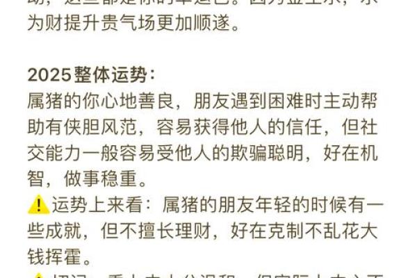 2007年属什么？生肖猪的命理解析与人生运势