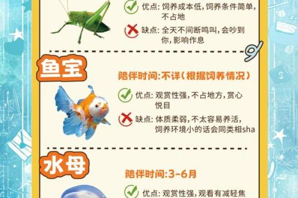 水命与火命夫妻的家庭宠物选择指南:如何让两种命理和谐共处? 水命与火命夫妻的家庭宠物选择指南:如何让两种命理和谐共处?