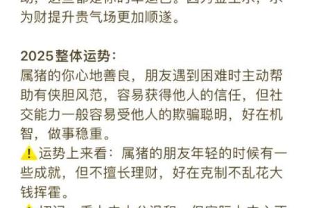 2007年属什么？生肖猪的命理解析与人生运势