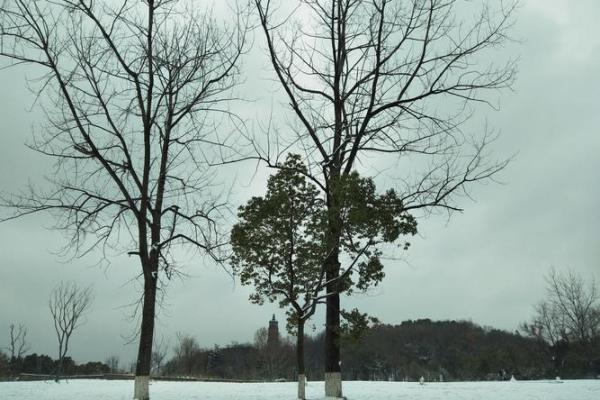 解读《余命》：生命、希望与爱的力量