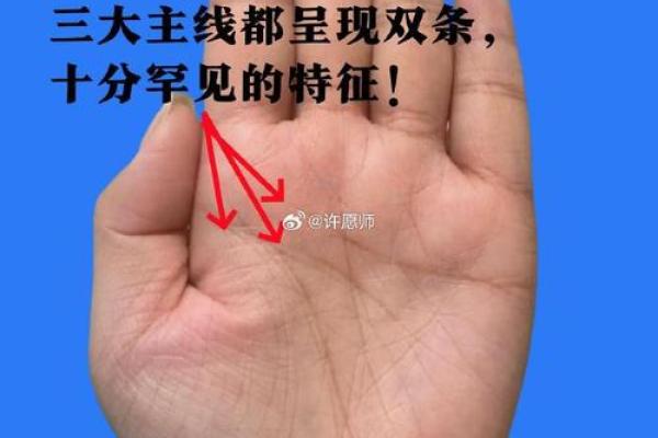 探秘掌纹中的双线暗示，解码你的命运之谜！
