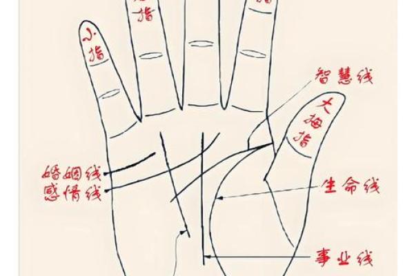 探秘掌纹中的双线暗示，解码你的命运之谜！