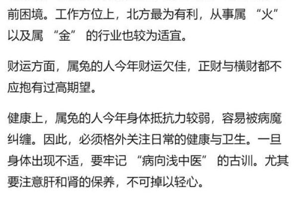 明年属兔人的命运解析:解读兔年带来的机遇与挑战 明年属兔人的命运解析:解读兔年带来的机遇与挑战