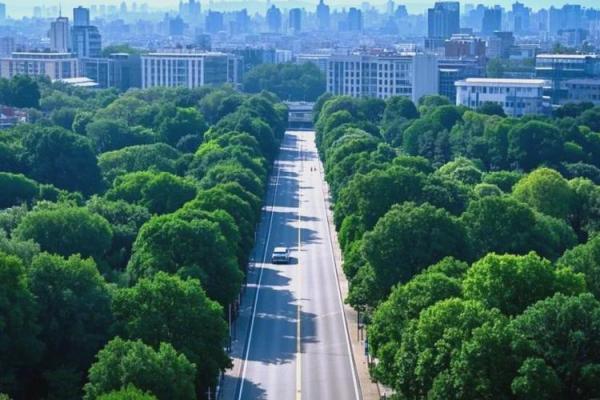 2023年：新机遇与蜕变之年，如何把握命运转折点？