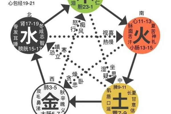 探秘十二金命:五行命理中的神秘世界 探秘十二金命:五行命理中的神秘世界