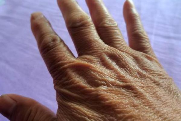 胖手圆润女孩的命运之路:从外表到内心的蜕变 胖手圆润女孩的命运之路:从外表到内心的蜕变