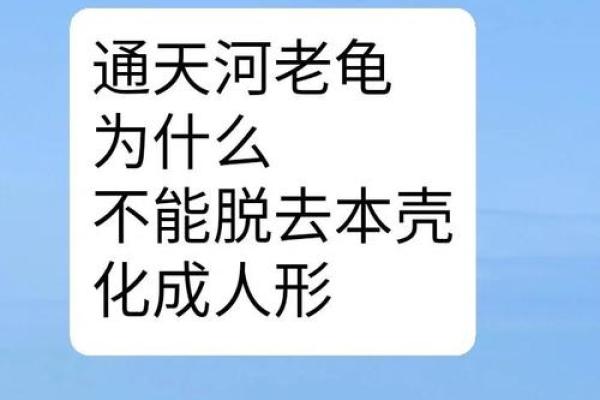 乌龟为何能活得如此漫长?揭秘长寿之道与神秘生活! 乌龟为何能活得如此漫长?揭秘长寿之道与神秘生活!