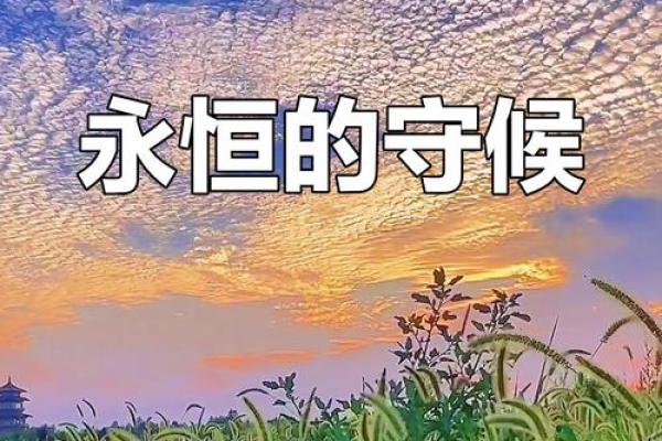 关心狗的人的命运:爱与陪伴的永恒循环 关心狗的人的命运:爱与陪伴的永恒循环