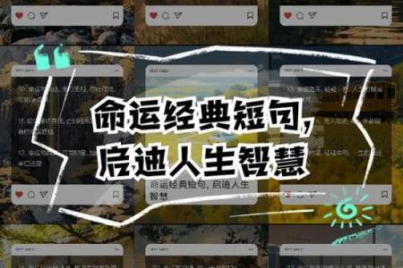 探索65年命运：生活智慧与启示