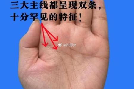 探秘掌纹中的双线暗示，解码你的命运之谜！