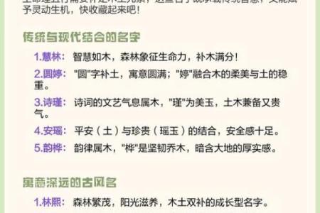 2004年出生者命理解析：缺什么，如何弥补？