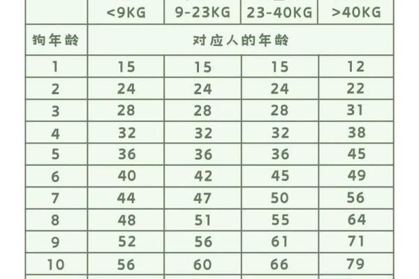 属狗55岁命运解析:如何掌握人生的智慧与幸运 属狗55岁命运解析:如何掌握人生的智慧与幸运