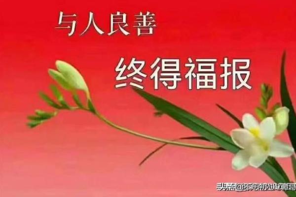 探索2002年2月24日出生人的命运与性格特点