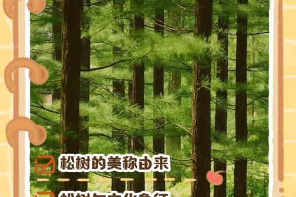 扎根松树下,探索生命的奇妙意义 扎根松树下,探索生命的奇妙意义