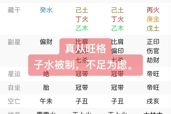 己巳年生人的命运解析:探索八字与生肖的奥秘 己巳年生人的命运解析:探索八字与生肖的奥秘