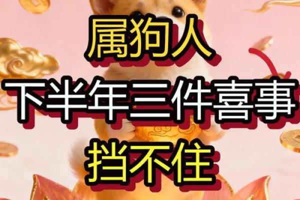18岁属狗,幸运与挑战并存的一年! 18岁属狗,幸运与挑战并存的一年!