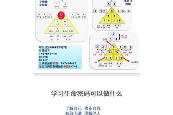 1990年出生的人命运密码：解码他们的生活与成就