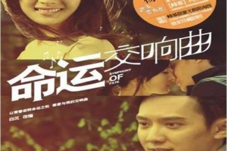 命运的交响曲：一命还一命的哲思与启示