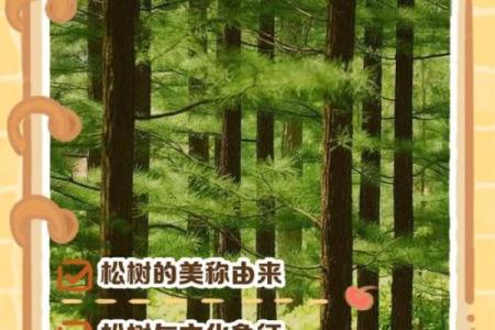 扎根松树下，探索生命的奇妙意义