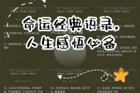 80岁老人生活的智慧与命运的交响曲