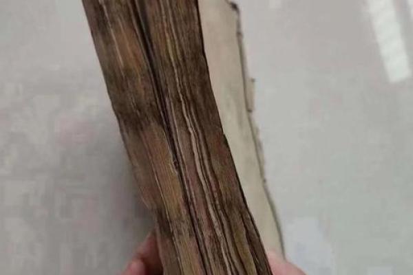 脑袋后边有坑,命运究竟如何?探秘生活中的每一道印记 脑袋后边有坑,命运究竟如何?探秘生活中的每一道印记