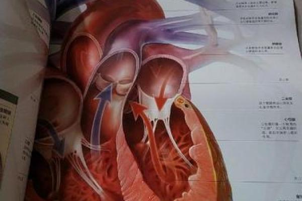 探秘29号生日的命运与人生轨迹,揭开神秘的生命密码! 探秘29号生日的命运与人生轨迹,揭开神秘的生命密码!