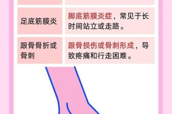 探秘后脚跟长治:命运与气质的深层联系 探秘后脚跟长治:命运与气质的深层联系